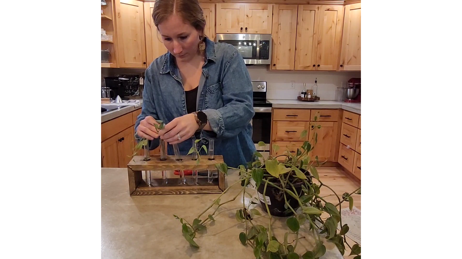 DIY Plant Propagation Stand